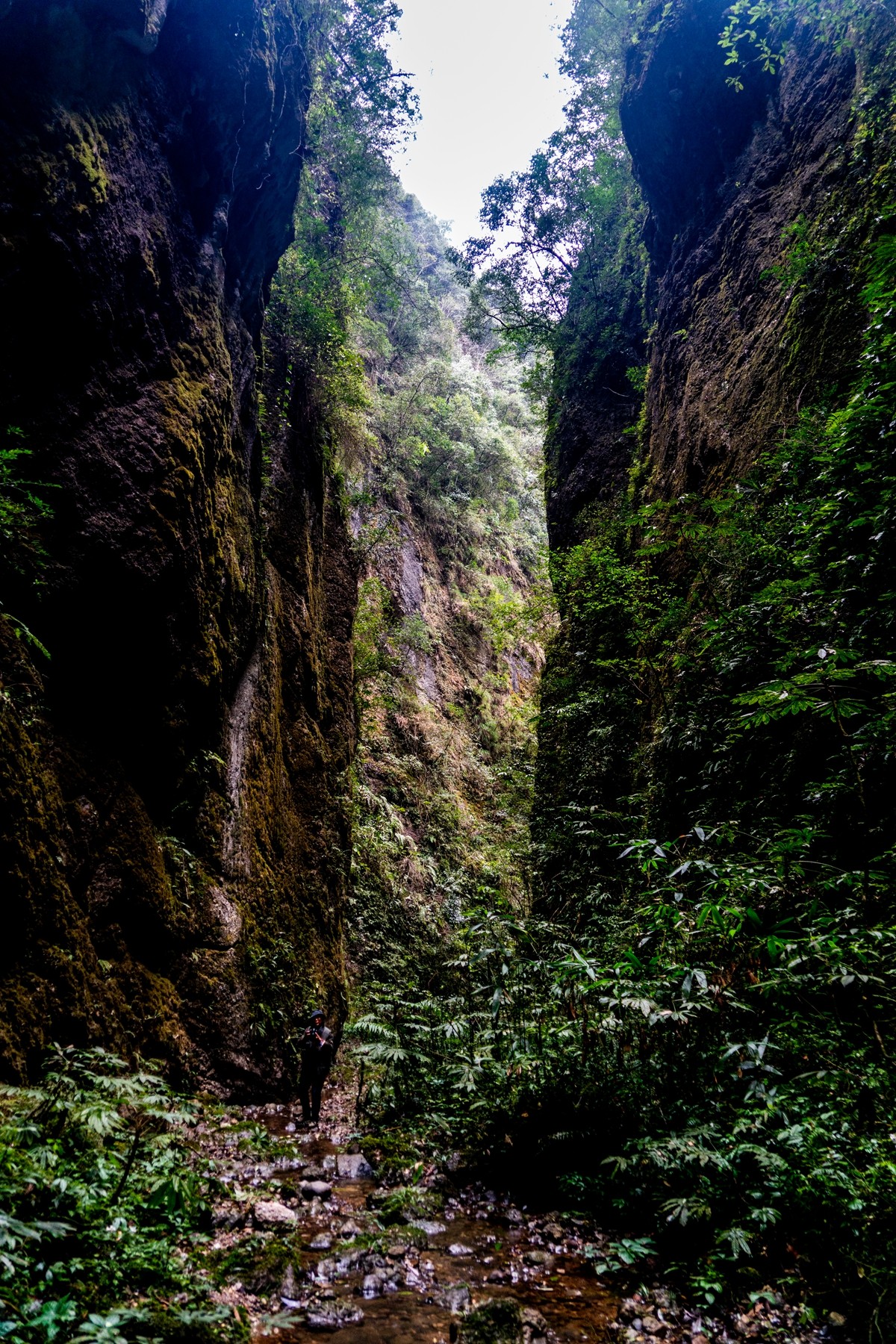 邛崃宝珠山图片