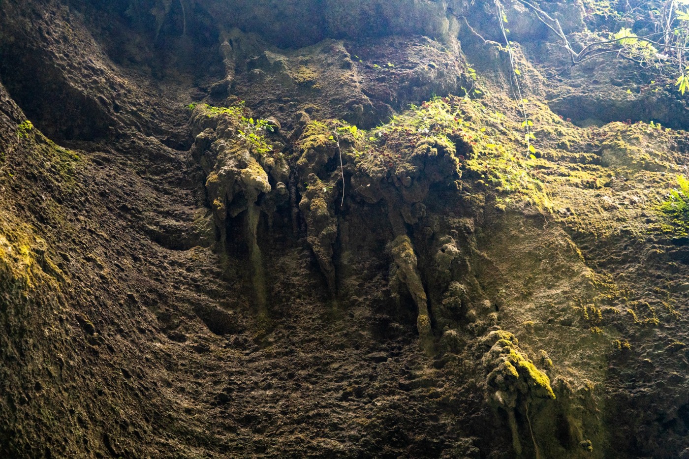 邛崃宝珠山图片