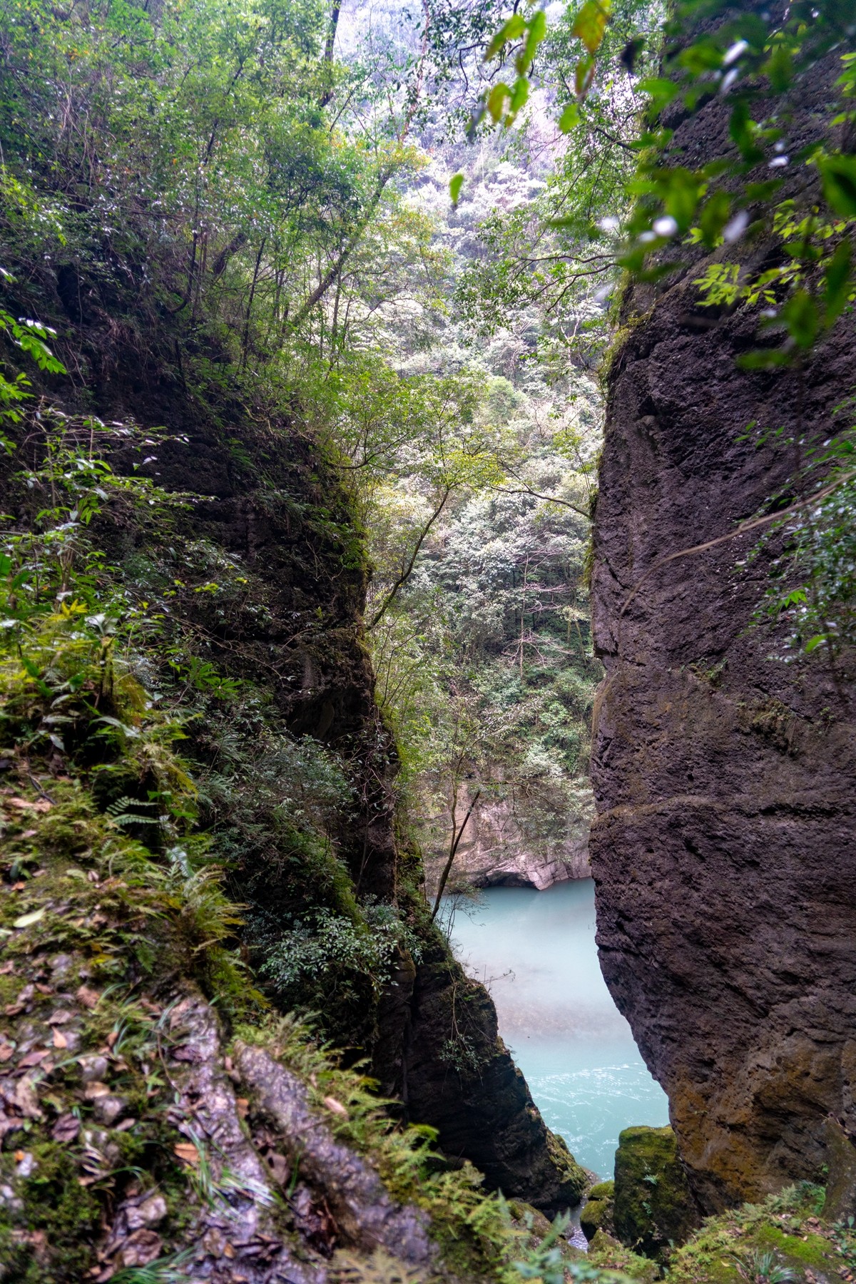 邛崃宝珠山图片