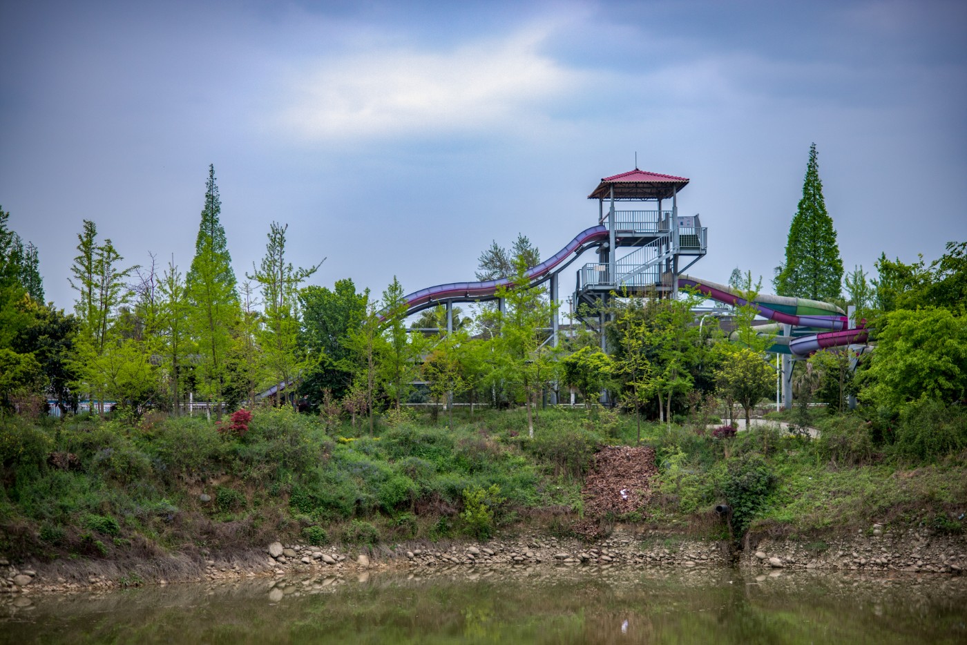 DSC_6389.jpg