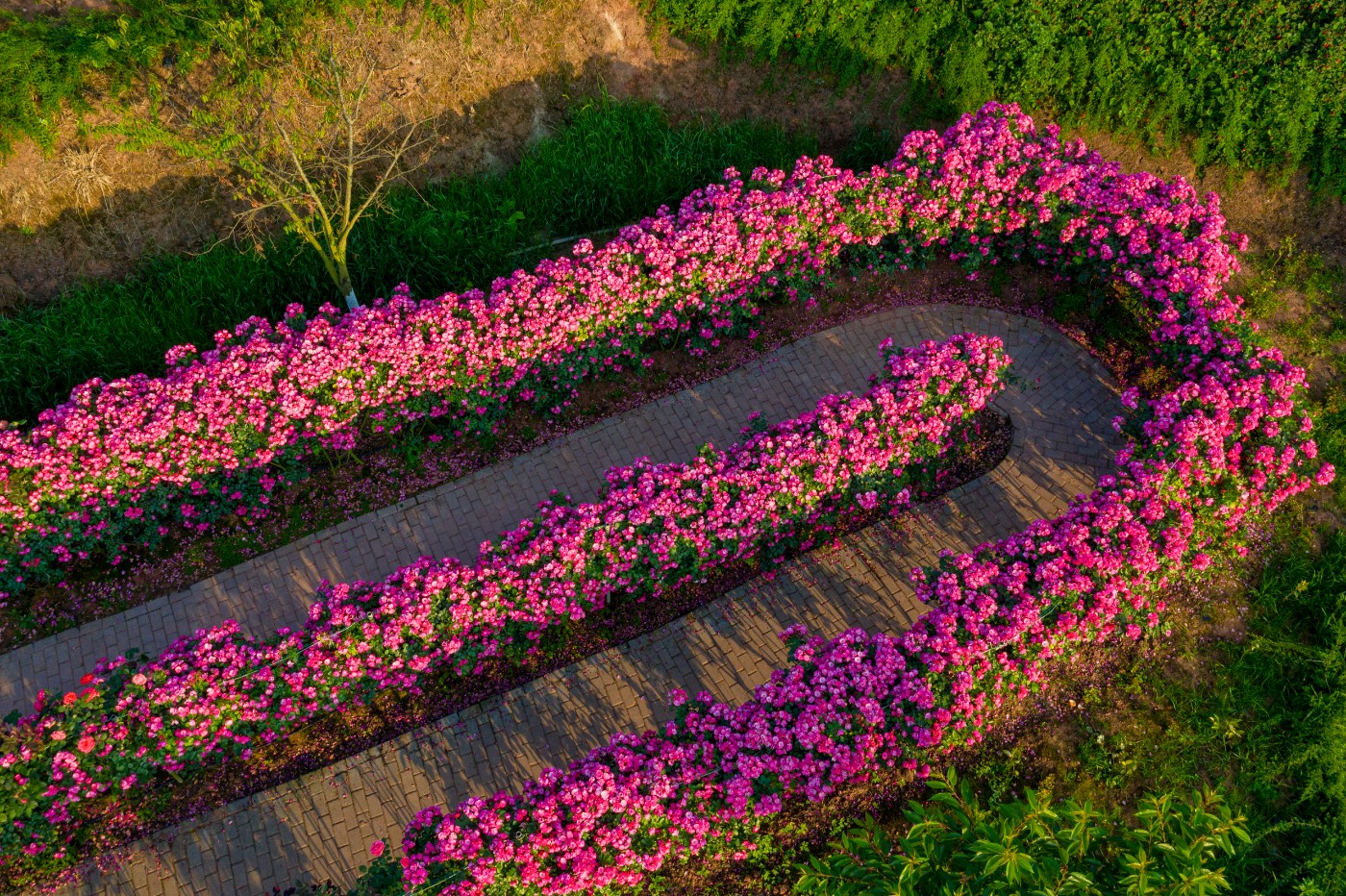 DJI_0551.jpg