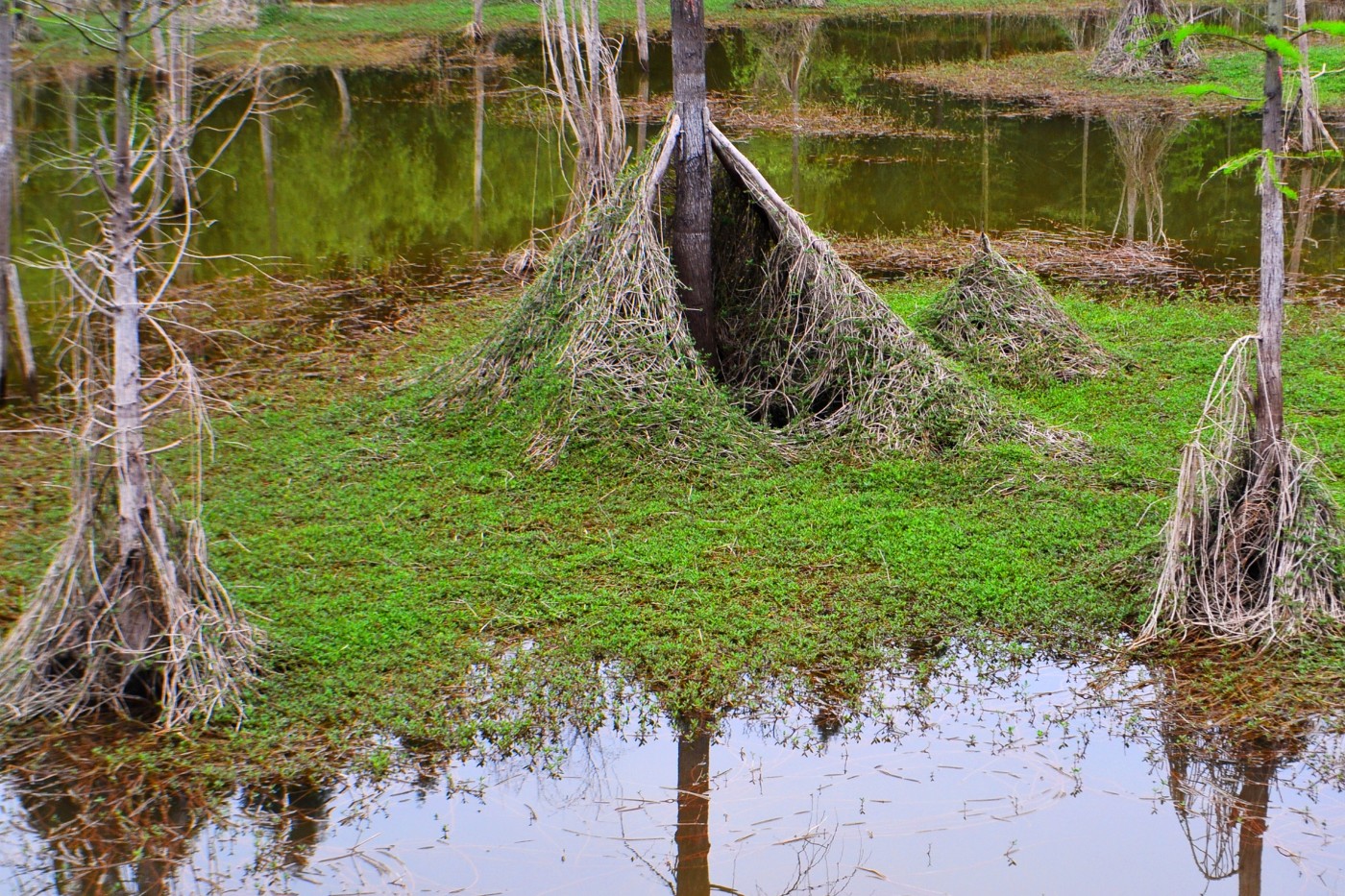 DSC_0458.JPG