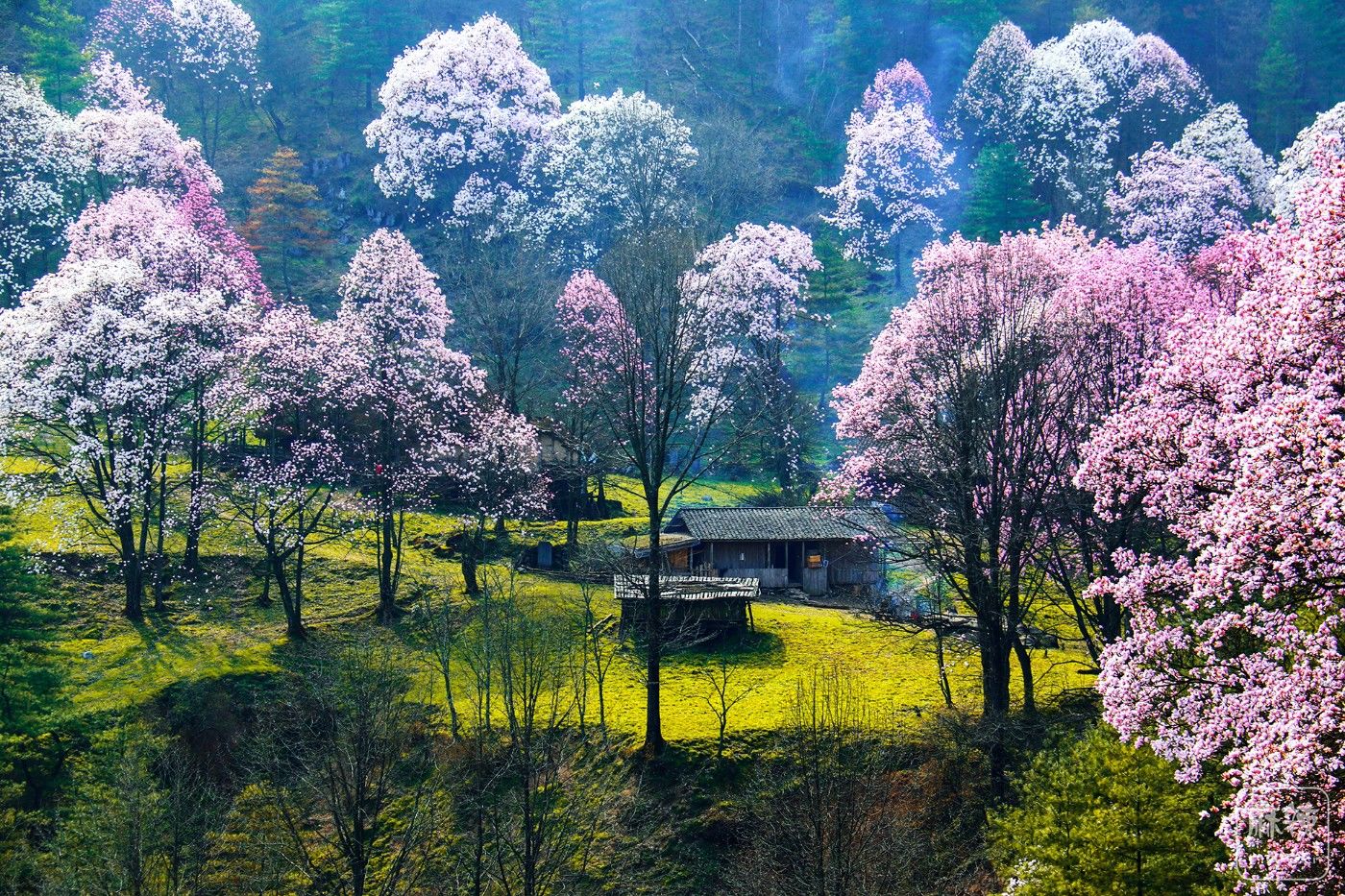 江油老君山藏王寨图片