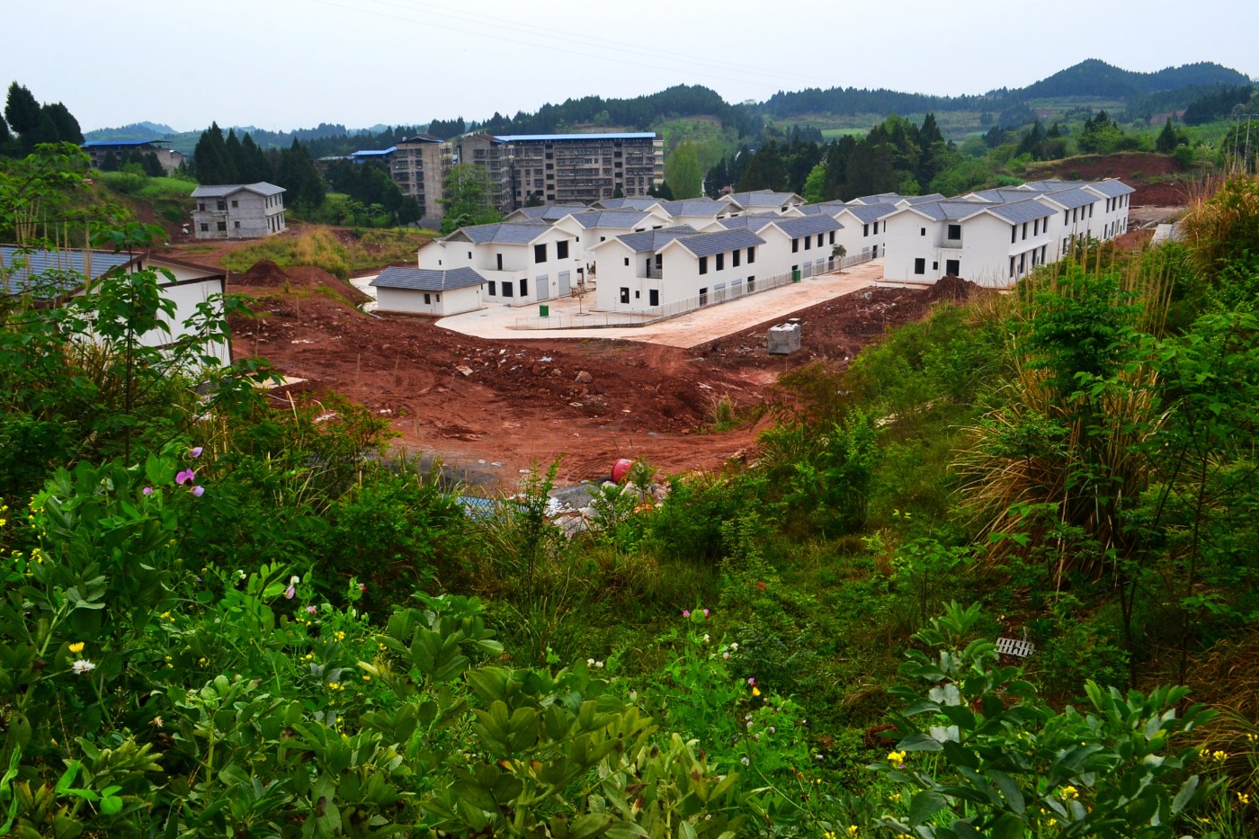 DSC_0414.JPG