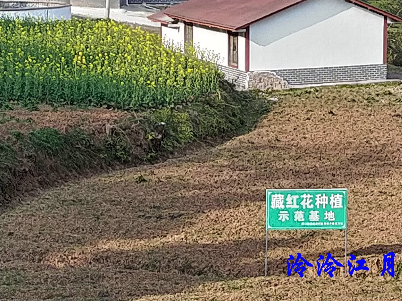 P20226-162722.jpg