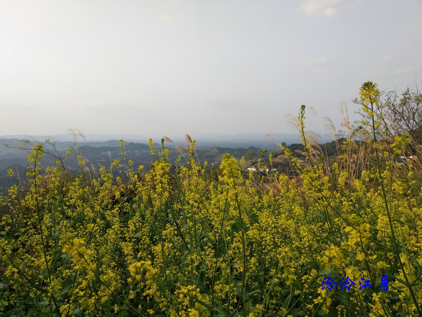 P20319-174519.jpg