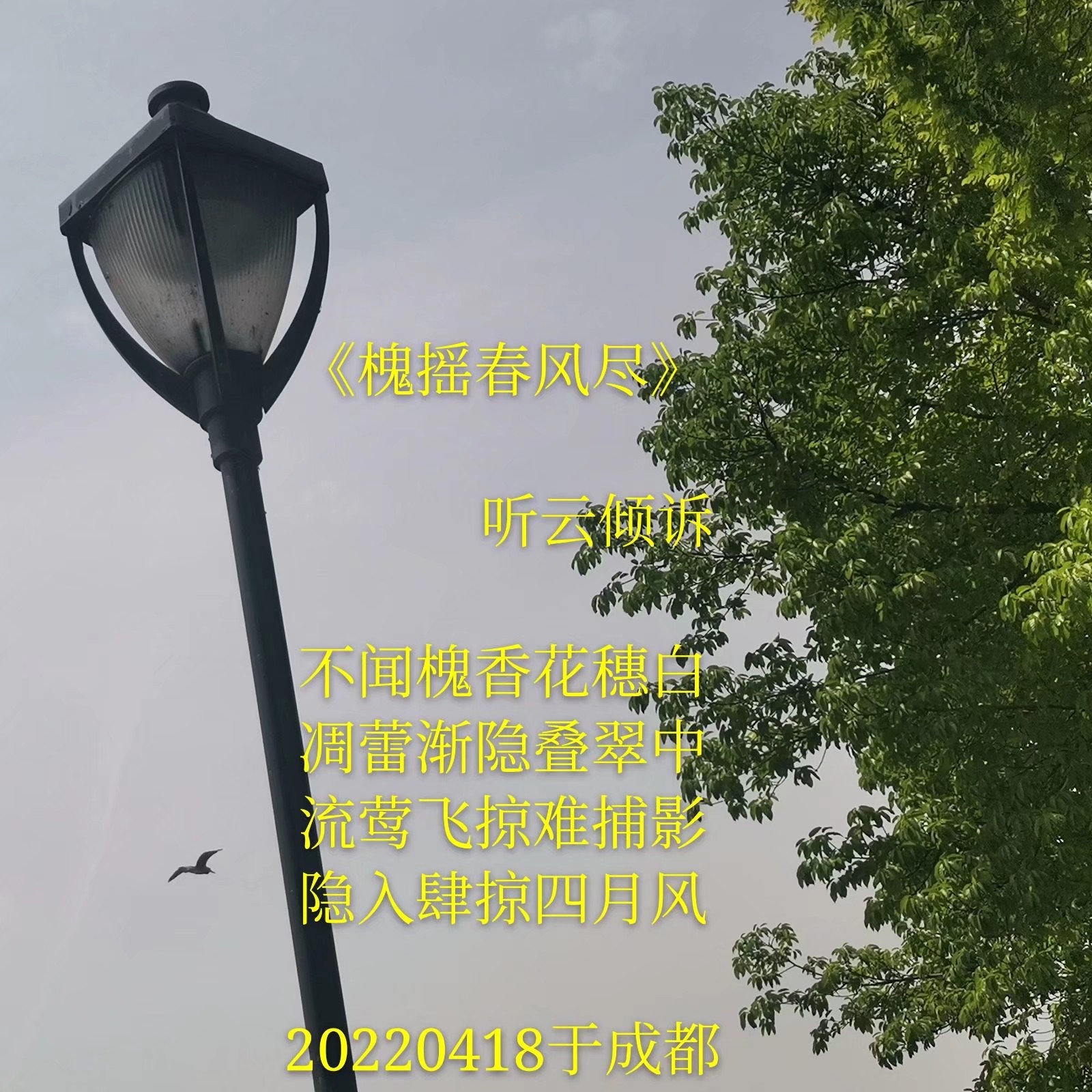 135743islbfeclehta0h4e.jpg