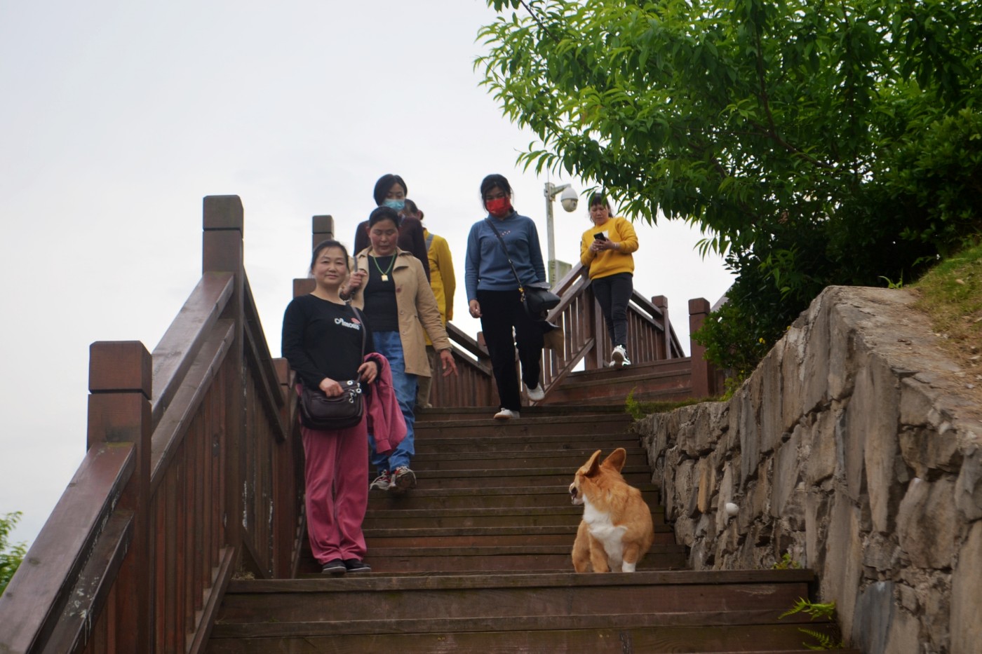 DSC_1093.JPG