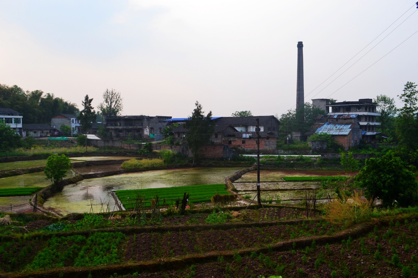 DSC_1329.JPG