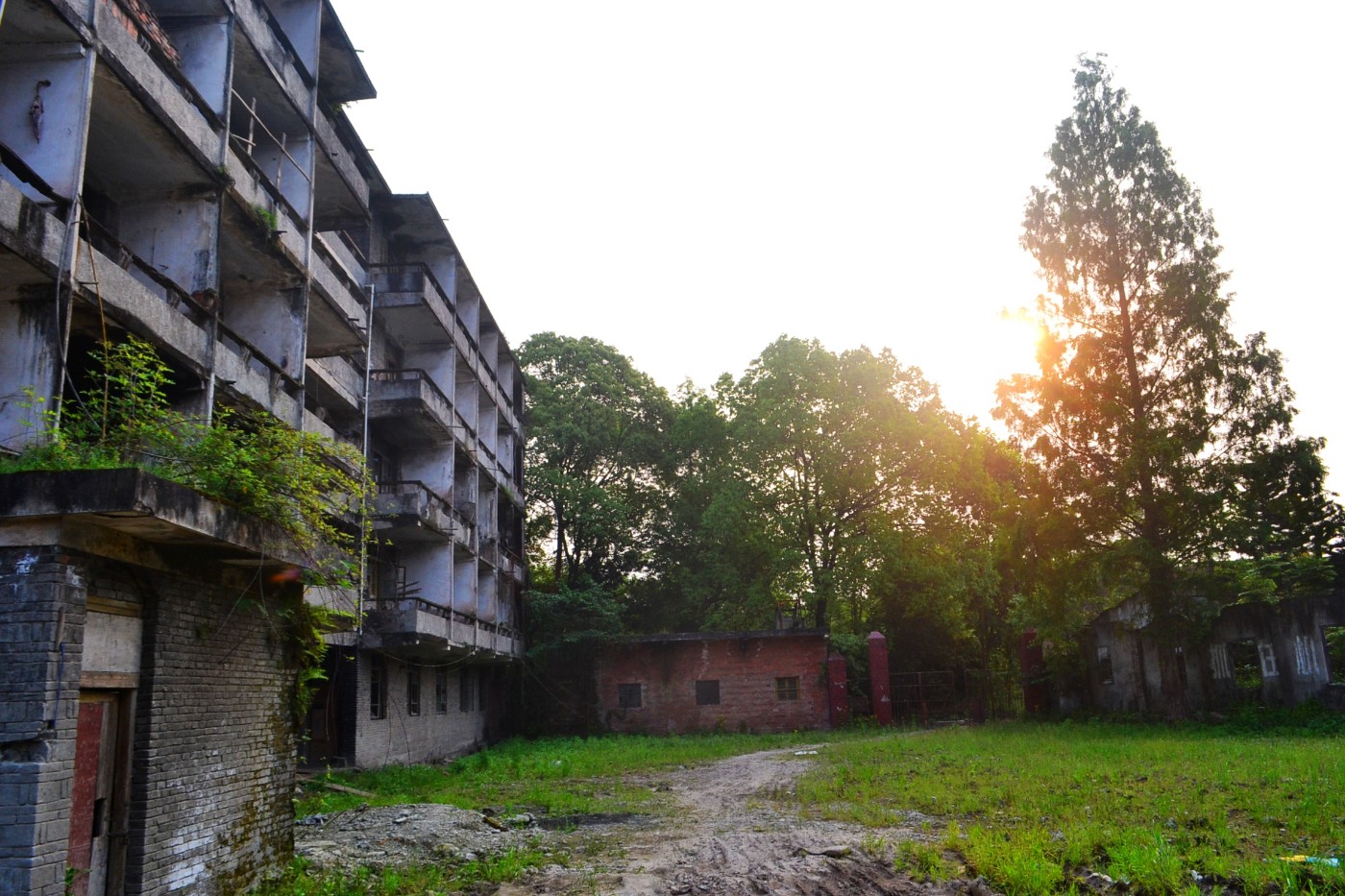 DSC_1334.JPG