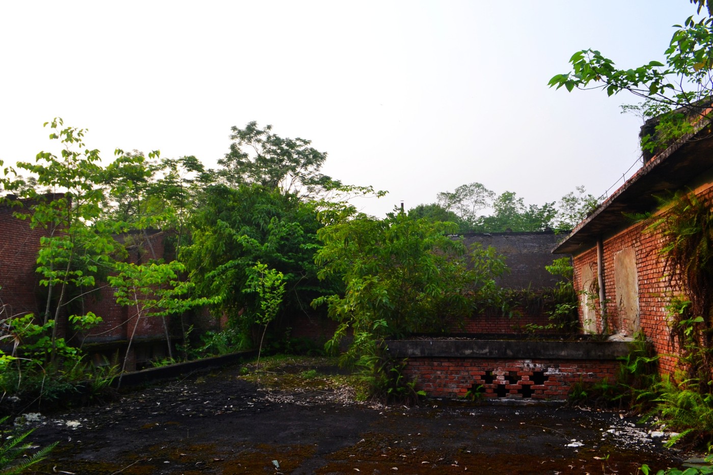 DSC_1342.JPG
