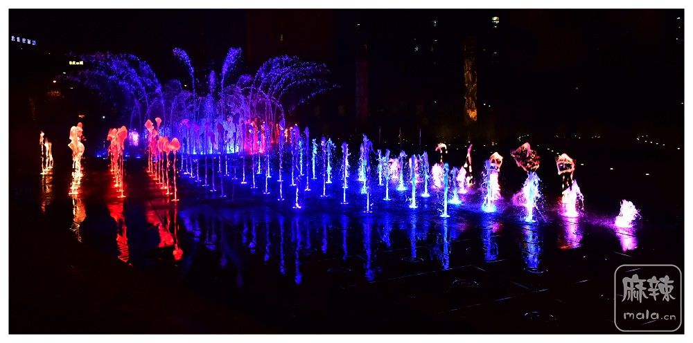DSC_5102.jpg