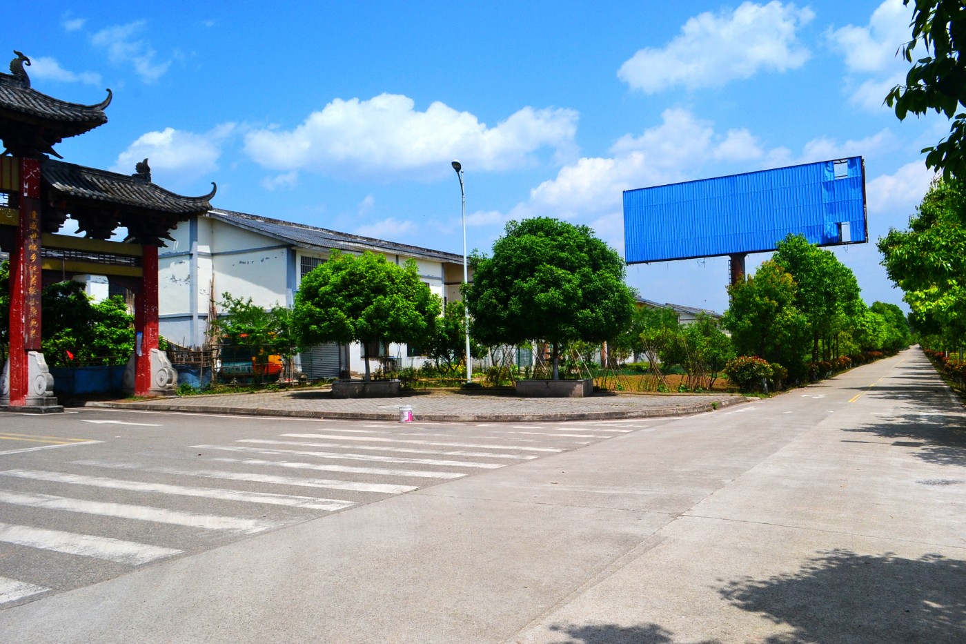 DSC_1303.JPG