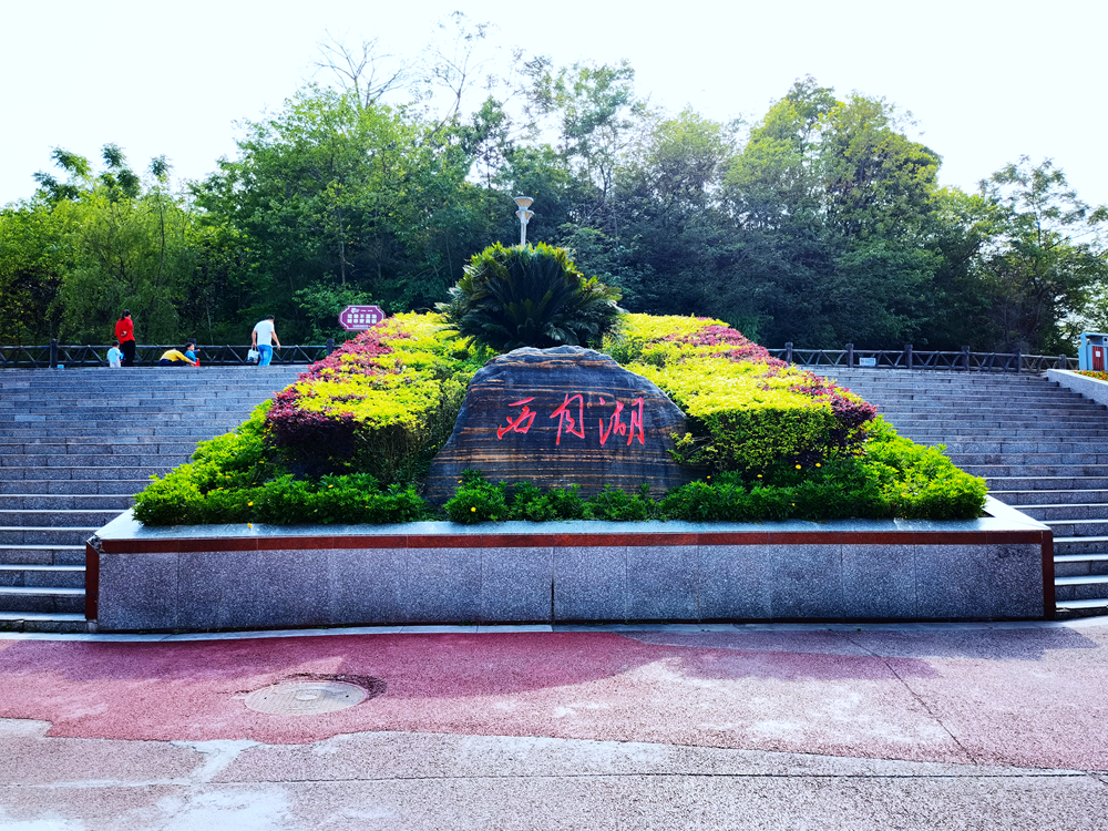 IMG_20220422_162429.jpg