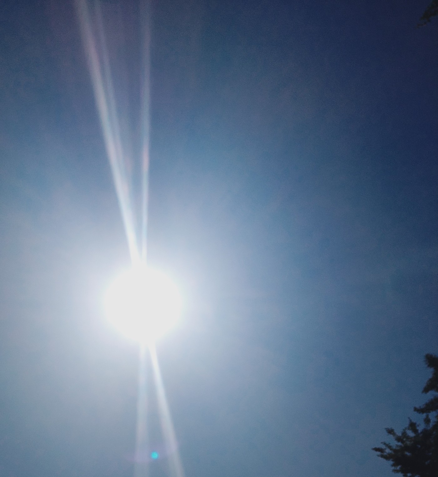 IMG_20220501_155244.jpg
