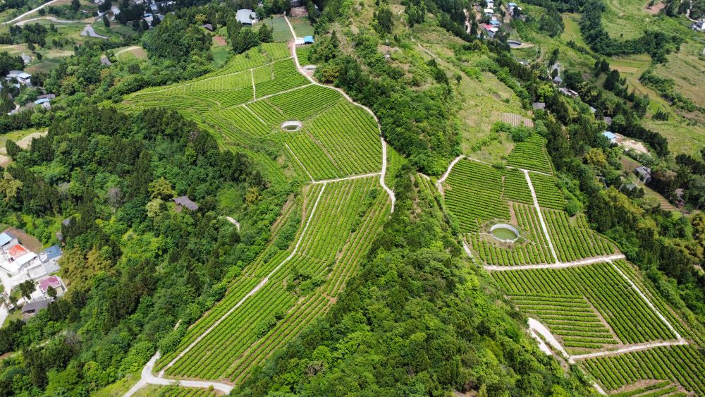 夹江县土门乡图片