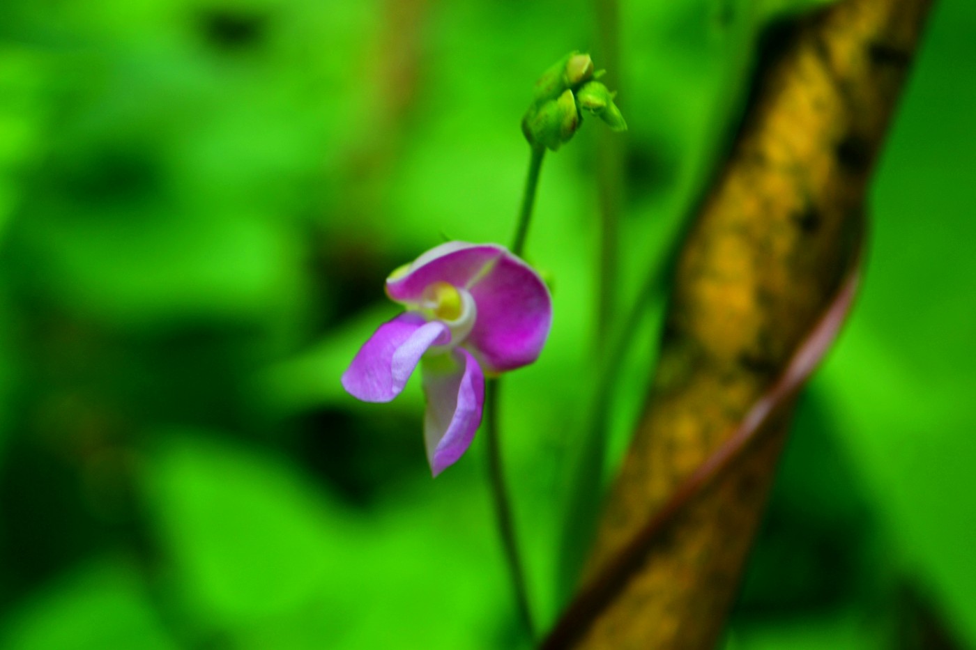 DSC_1646.JPG