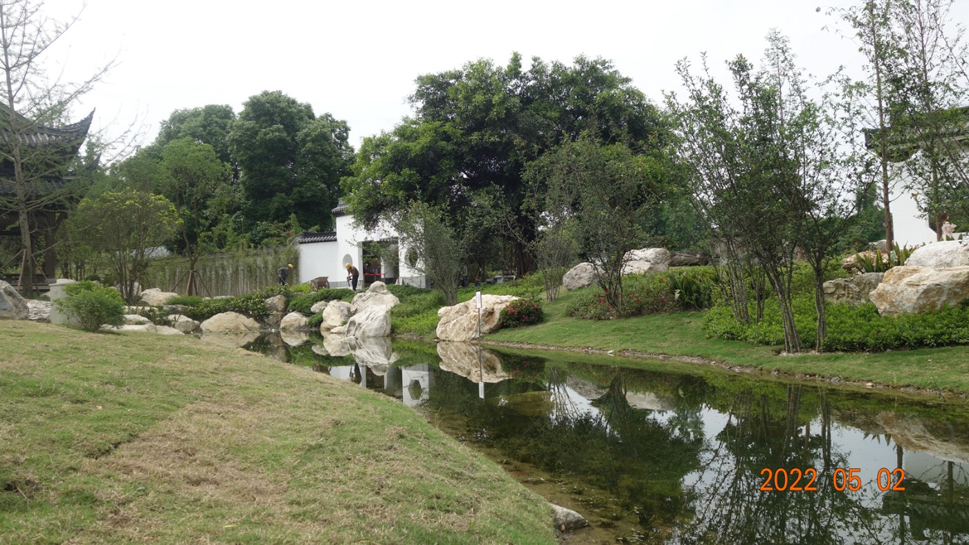 DSC08007.JPG