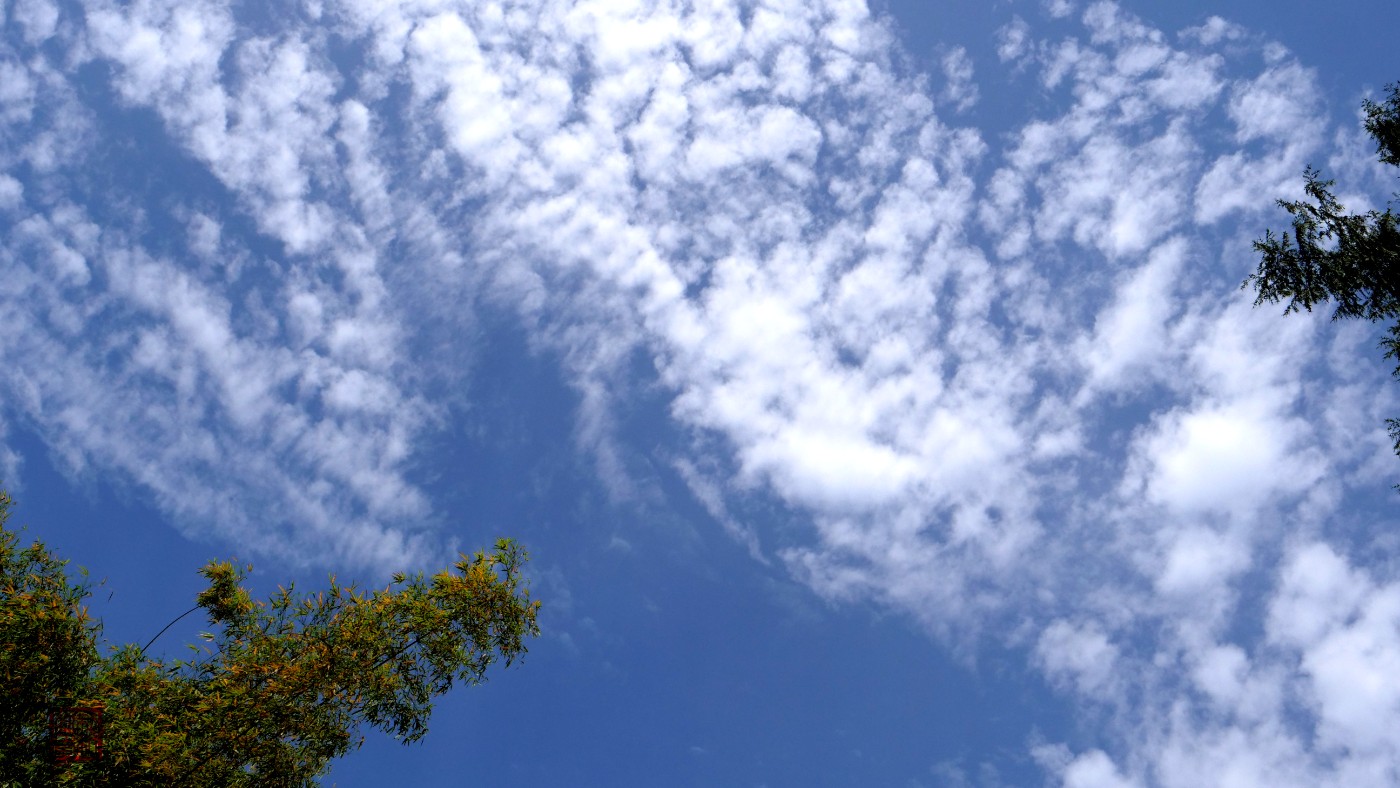 P1344701_.jpg