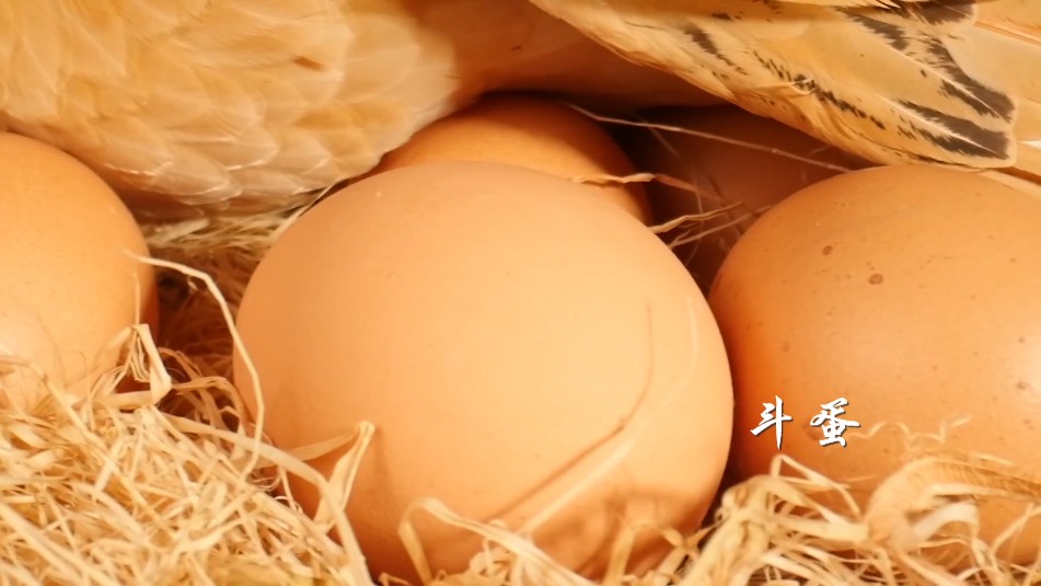 ΢ͼƬ_20220505151834.png