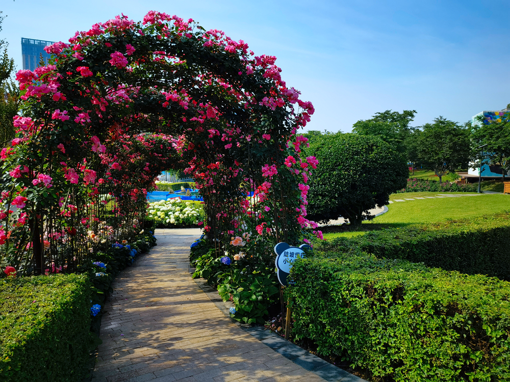 成都漫花庄园风景图片图片