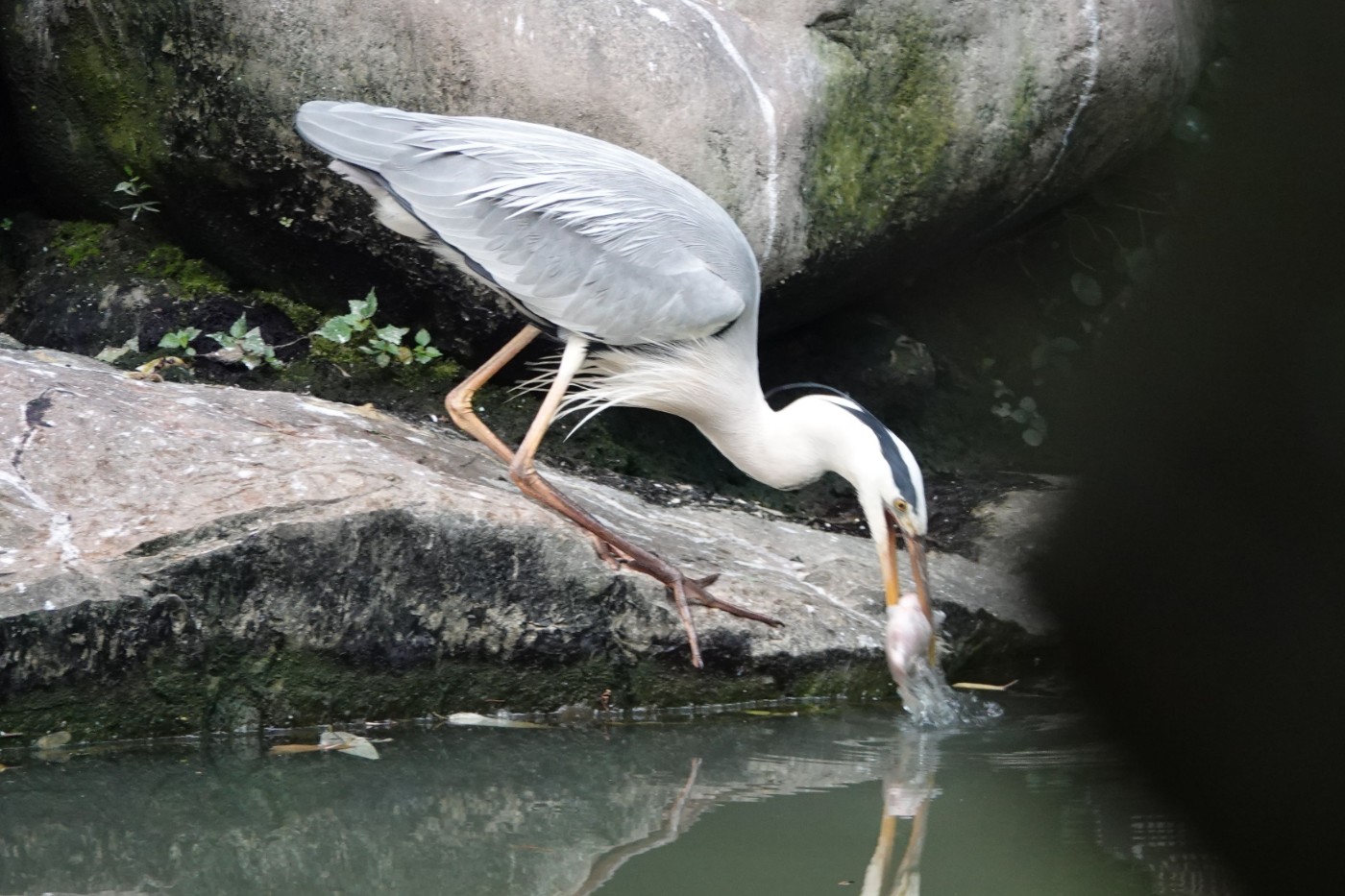 DSC05664_.jpg