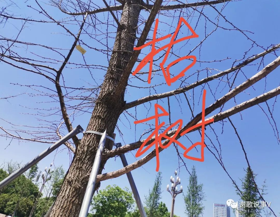 ͼ7.jpg