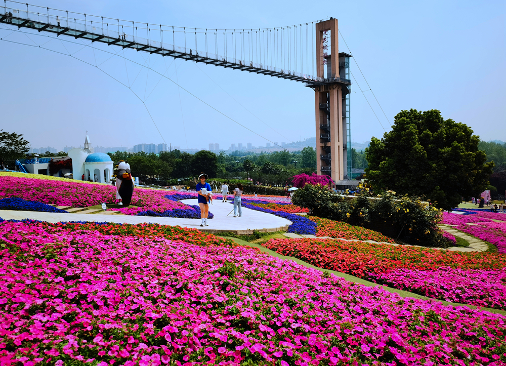 成都漫花庄园风景图片图片