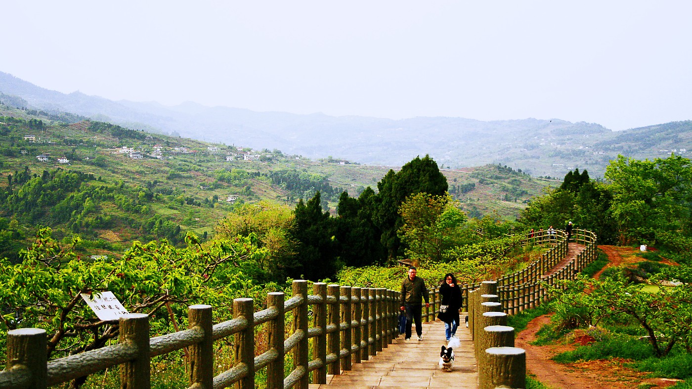 钟家山森林公园图片