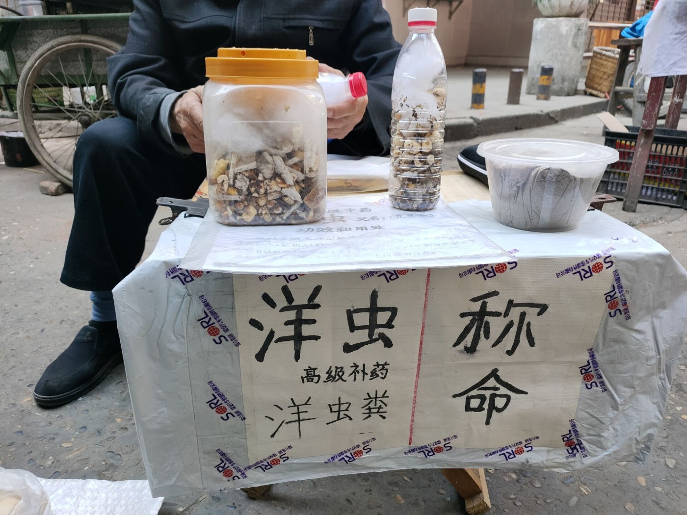 洋虫壮阳图片