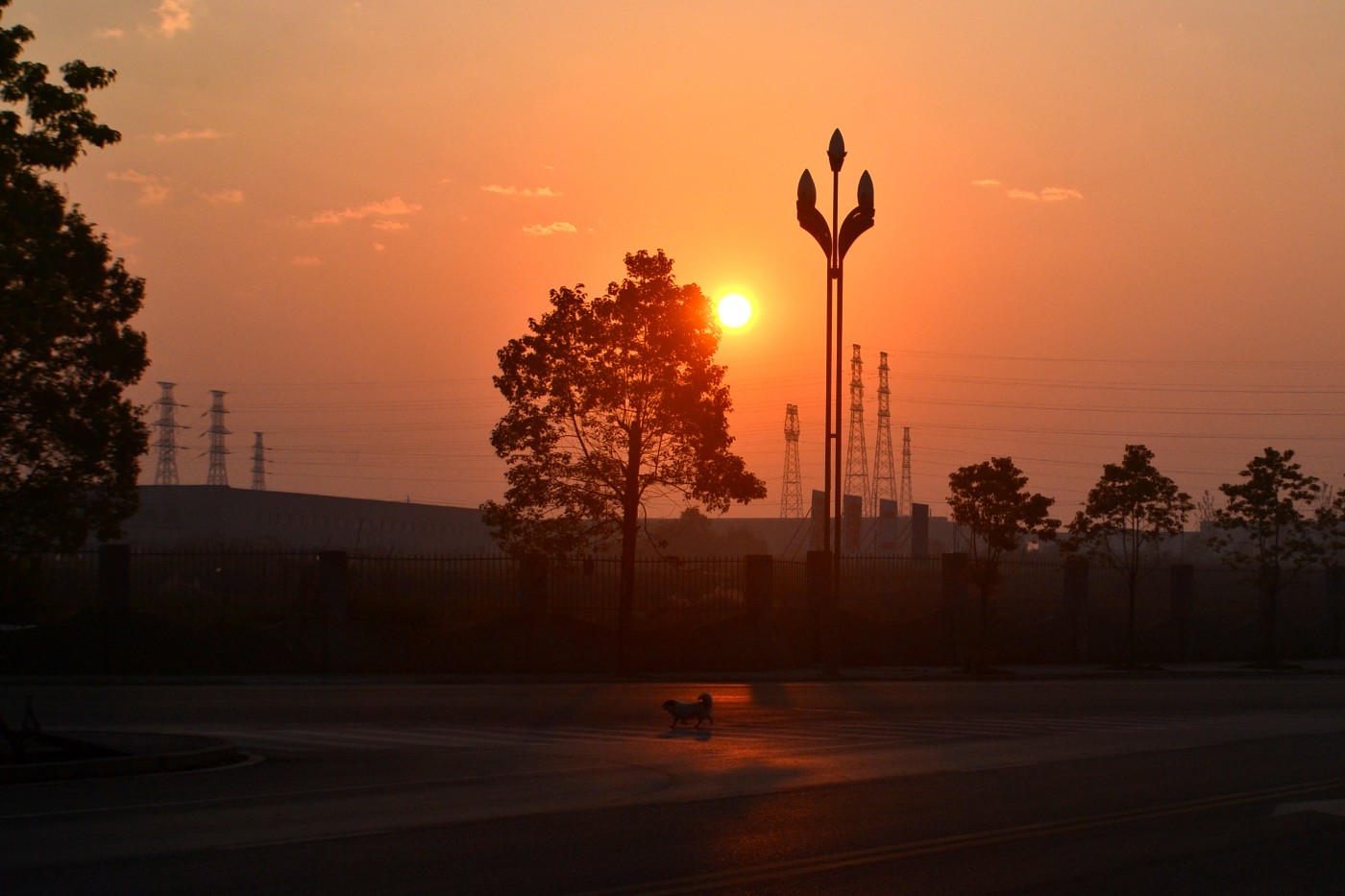 DSC_1937.JPG