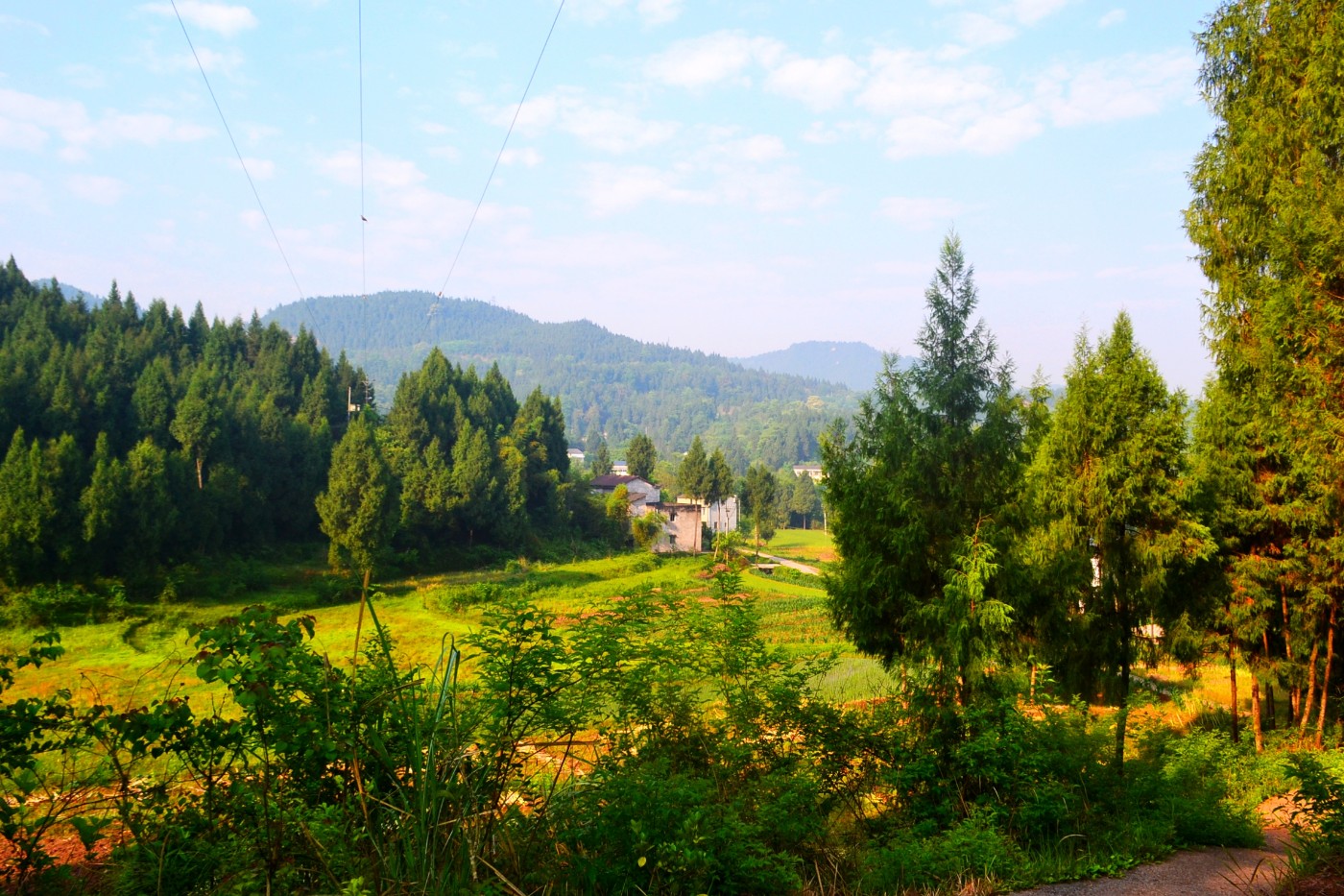 DSC_1939.JPG