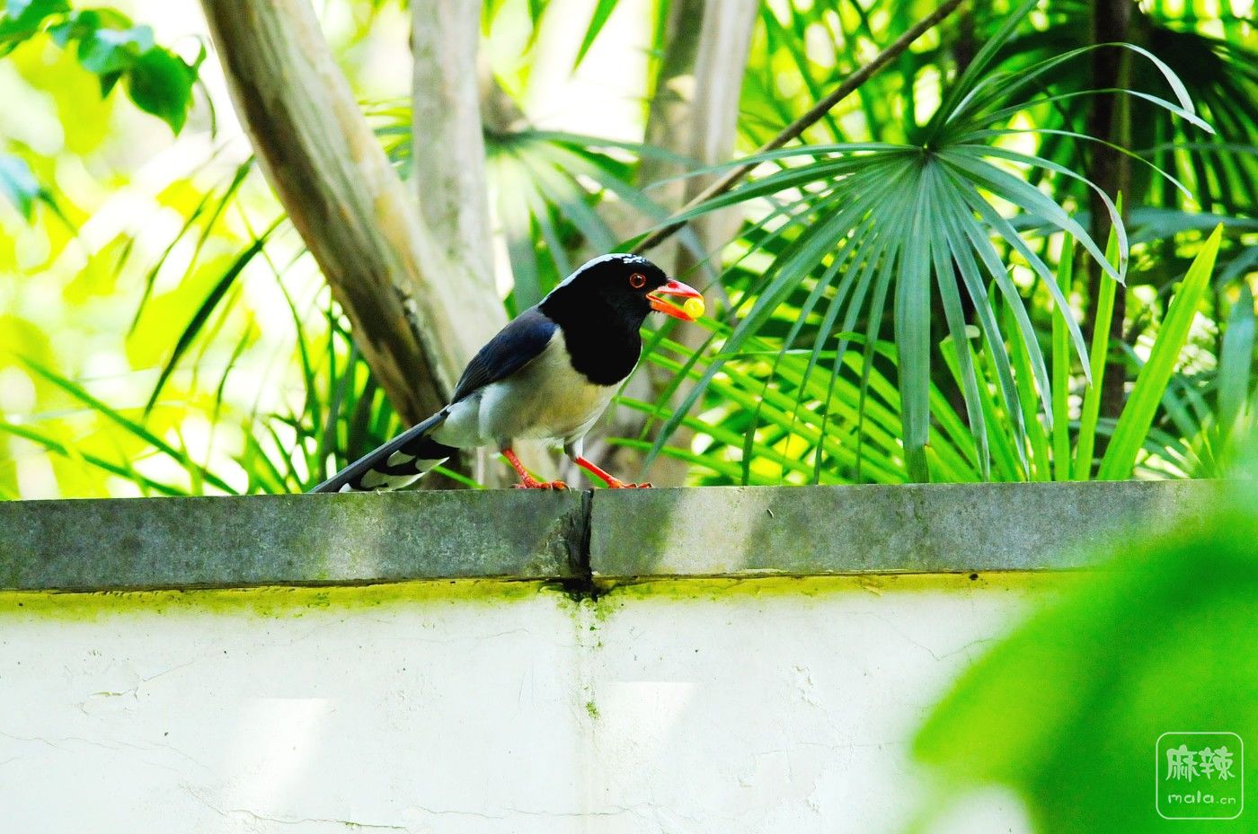 DSC_5604.jpg