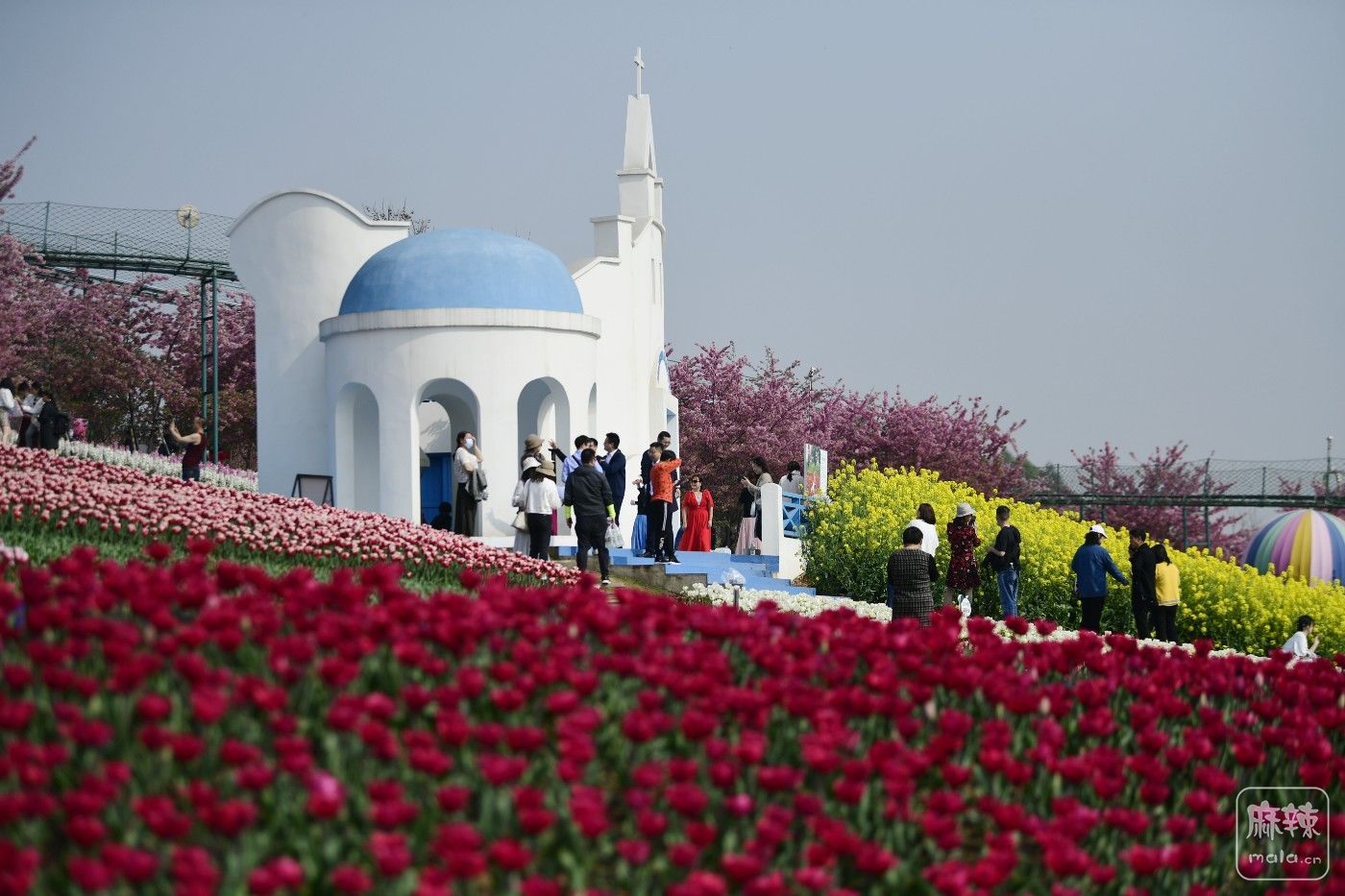 成都漫花庄园风景图片图片