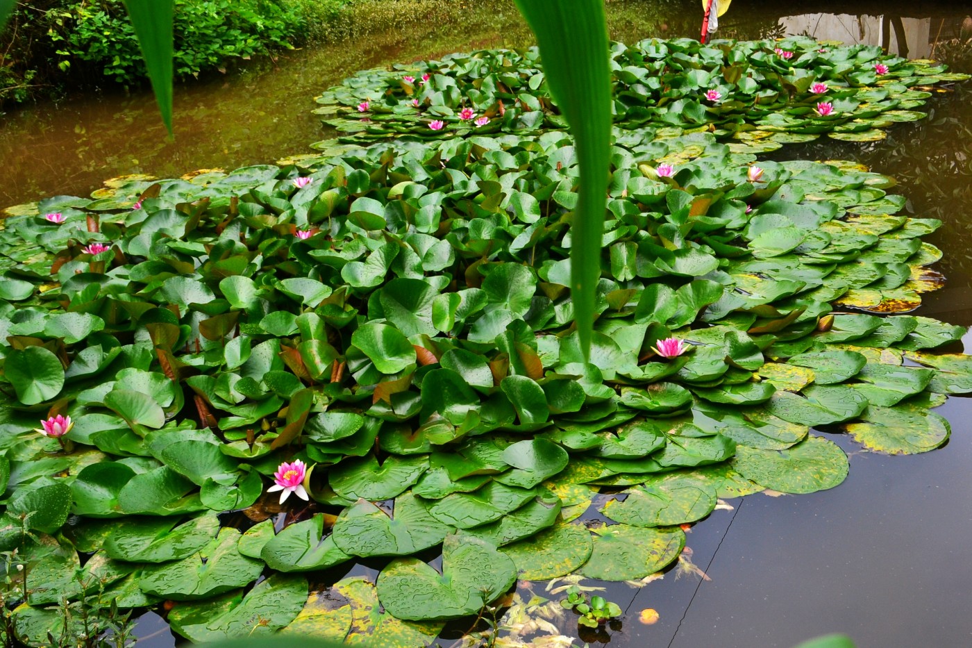DSC_2551.JPG
