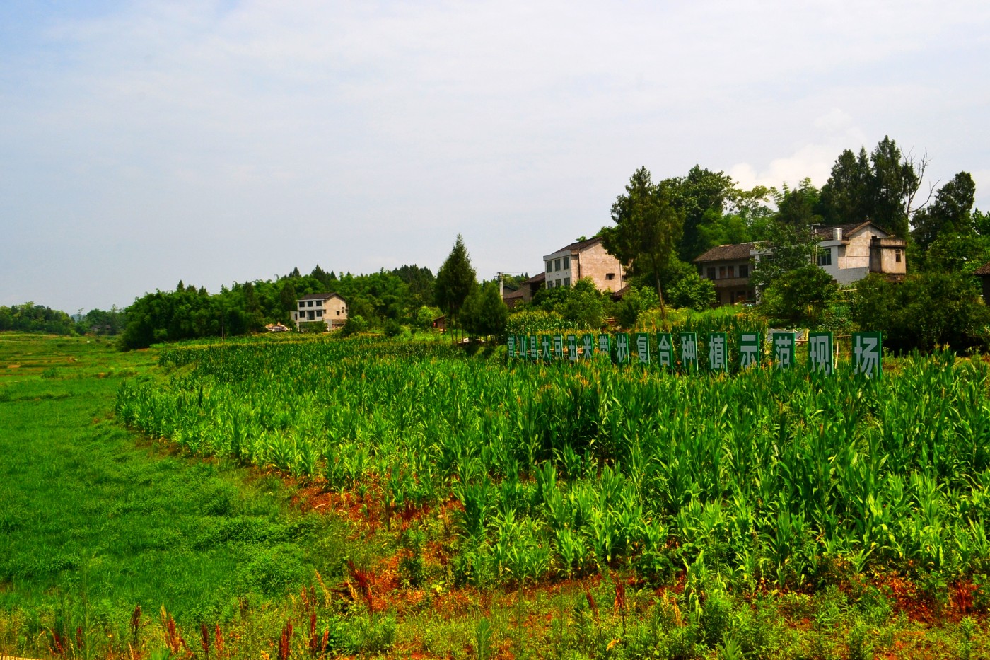 DSC_2606.JPG