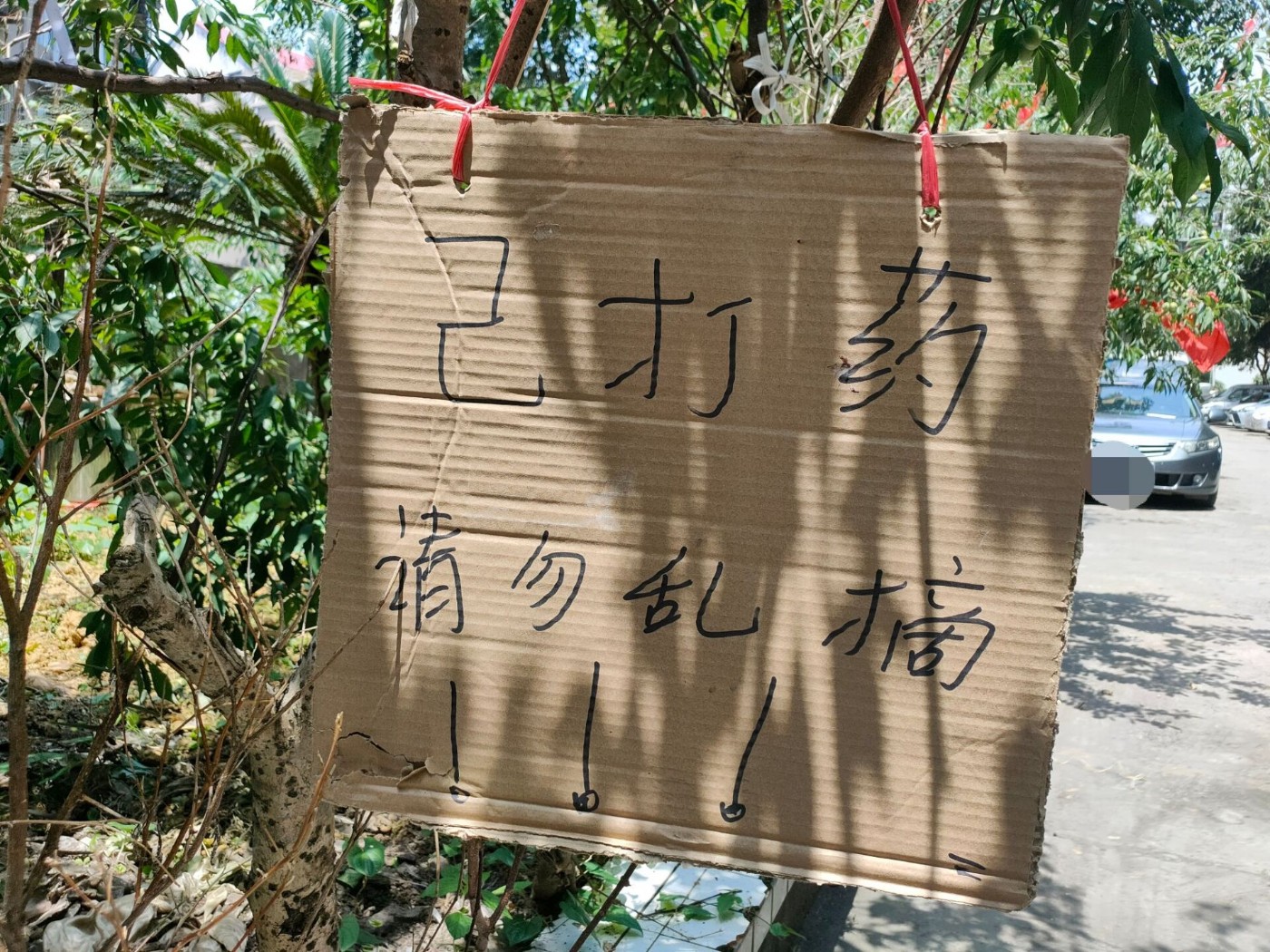 QQͼƬ20220607133801.jpg