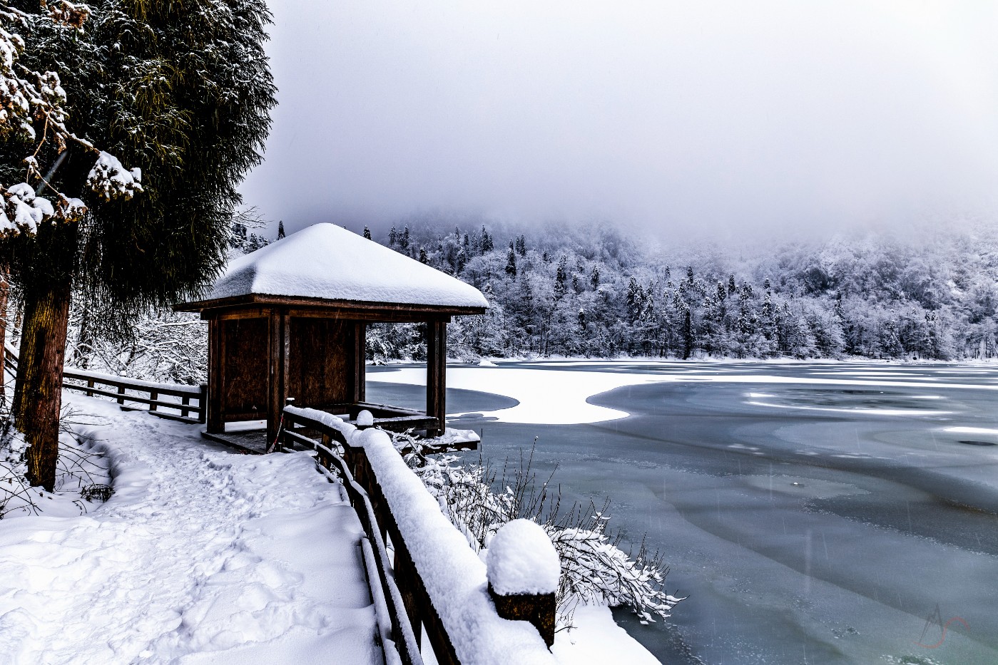 龙池春雪