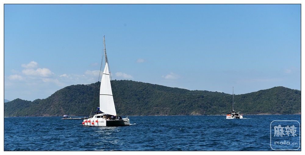 DSC_2382.jpg