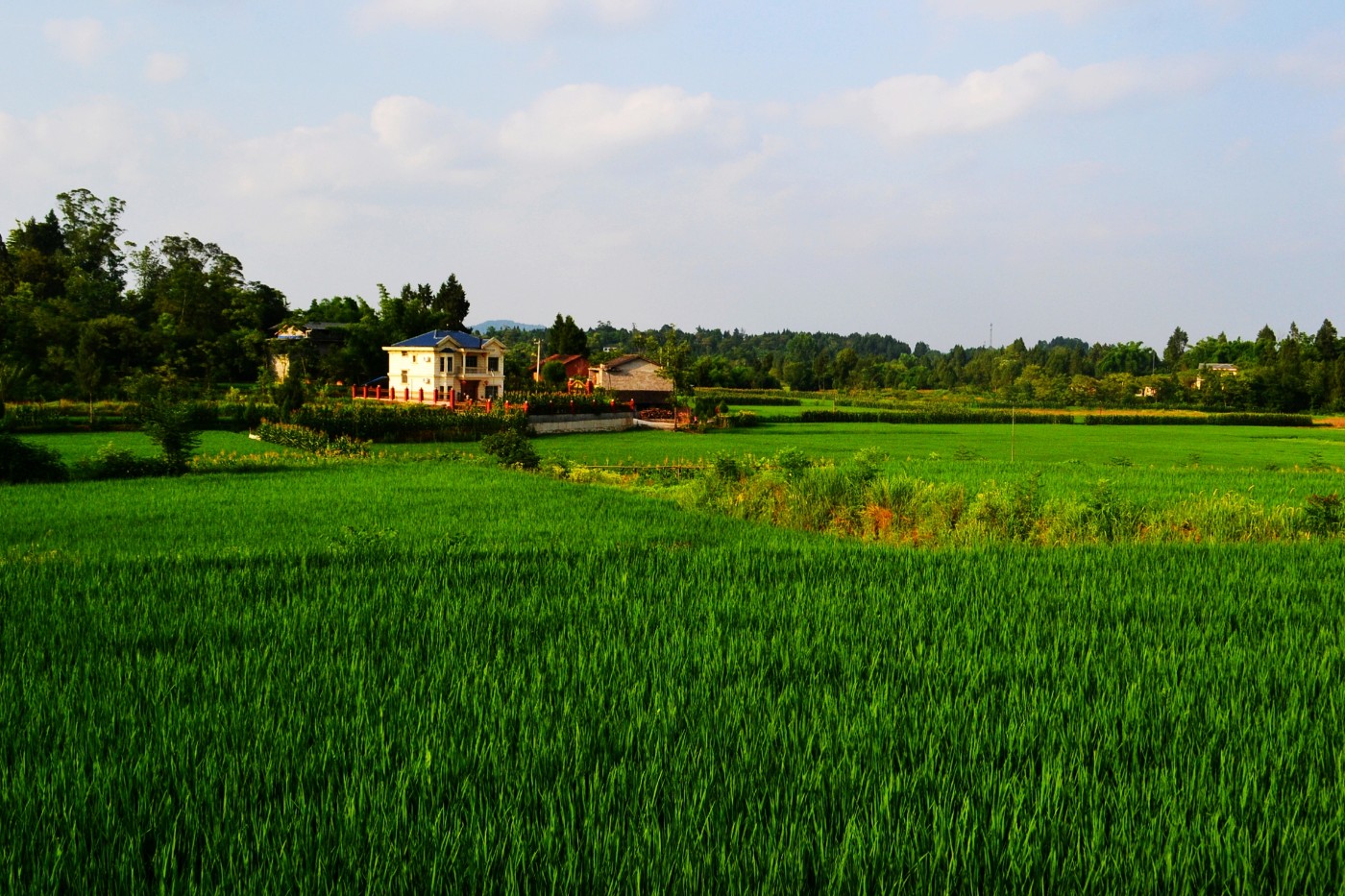DSC_2863.JPG