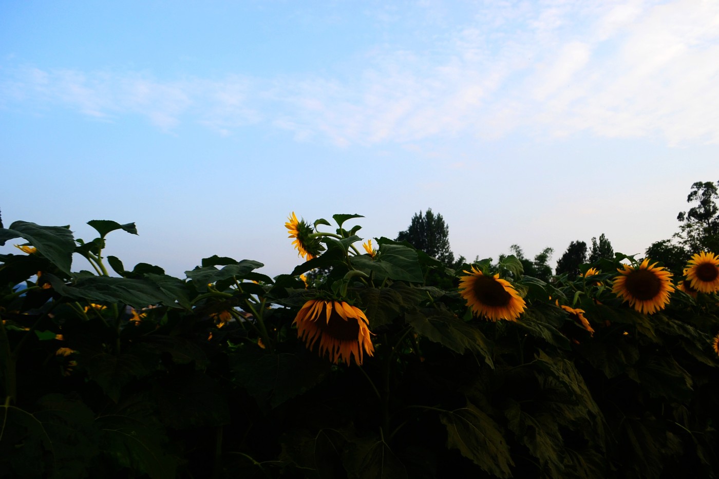 DSC_3027.JPG