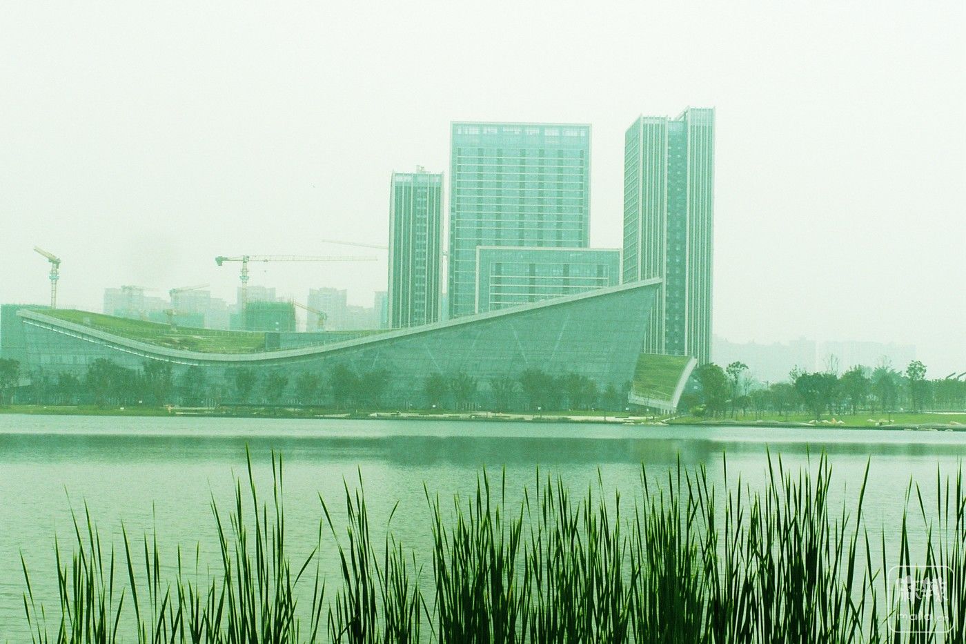 S1050098.JPG