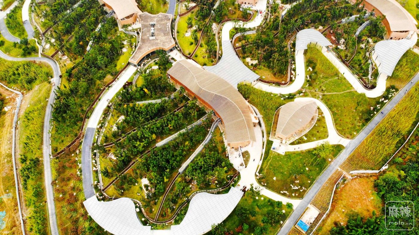 DJI_0916.JPG