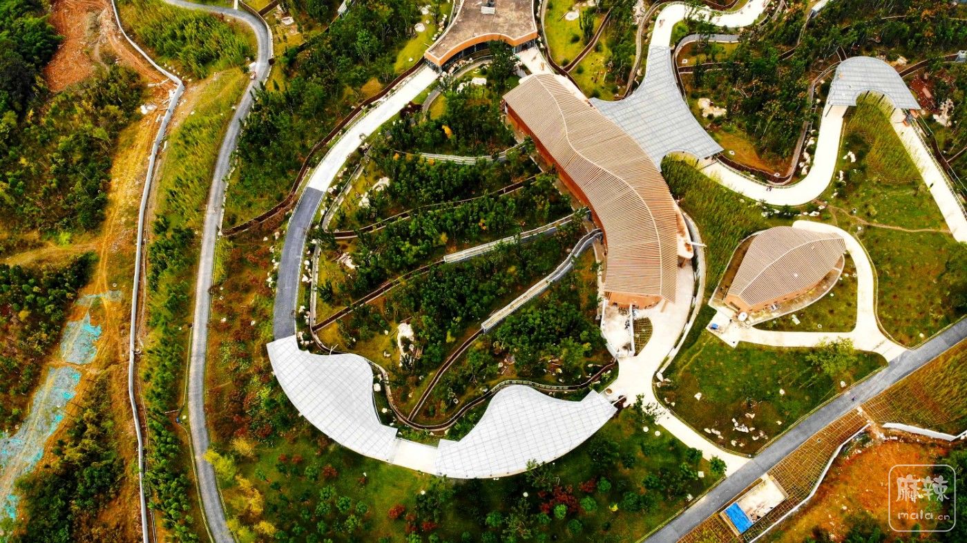 DJI_0936.JPG