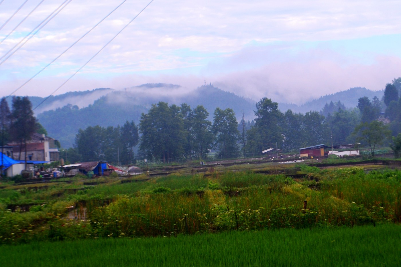 DSC_3080.JPG