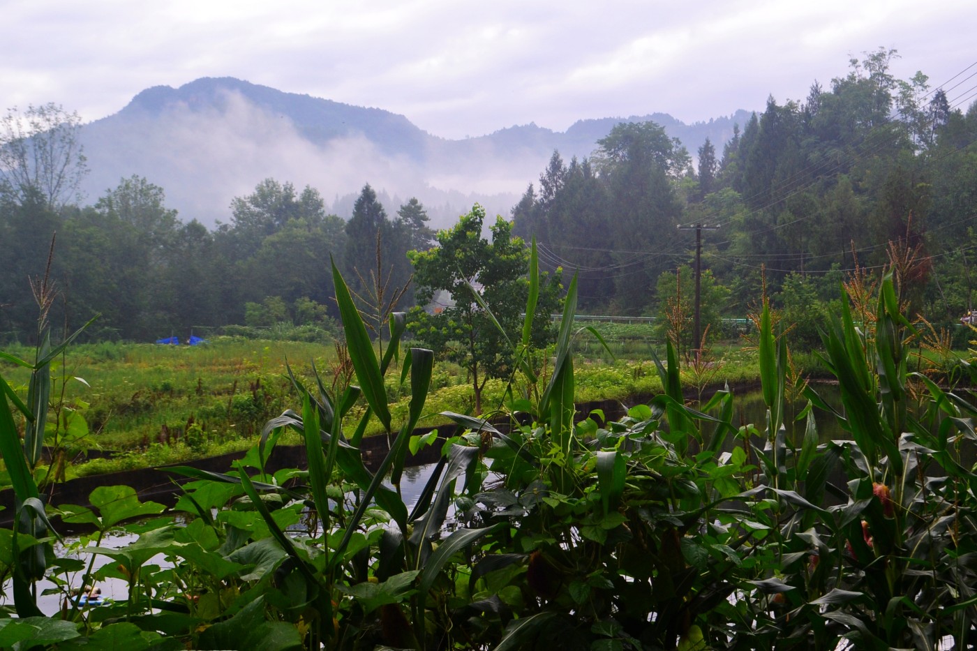 DSC_3075.JPG