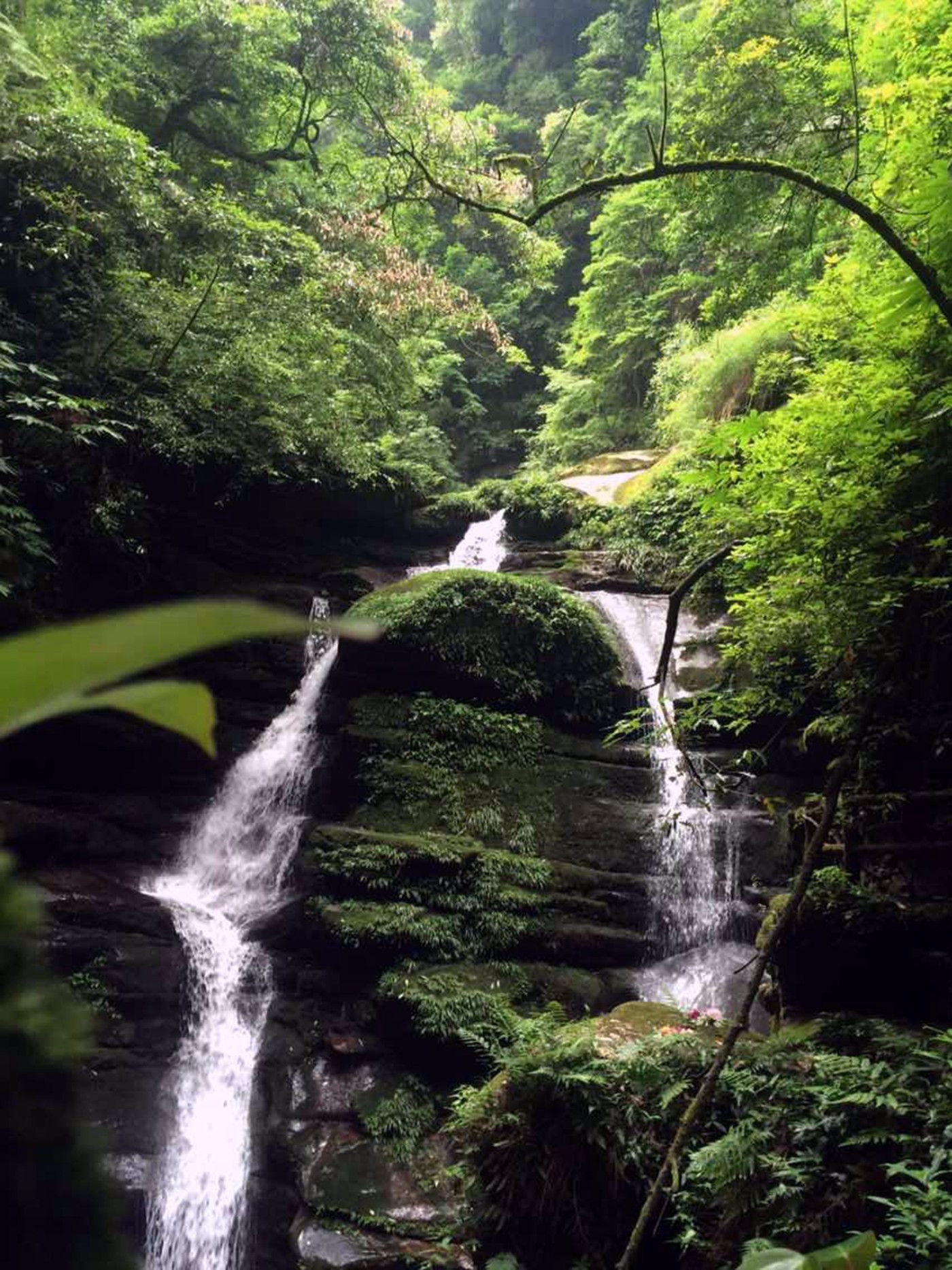 碧峰峡景点图片