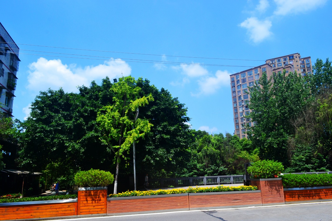DSC_3208.JPG