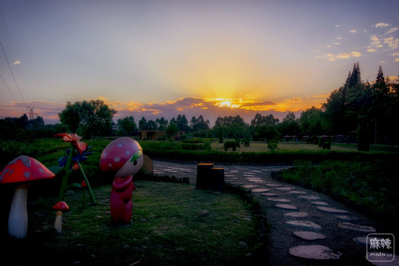 DSC_8387.jpg