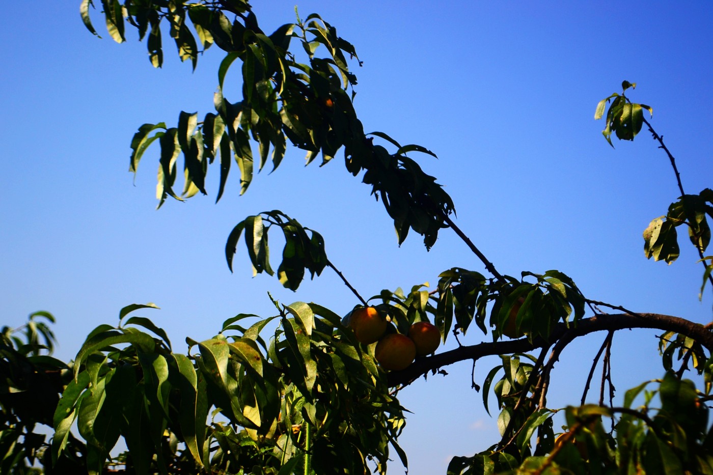 DSC_3392.JPG